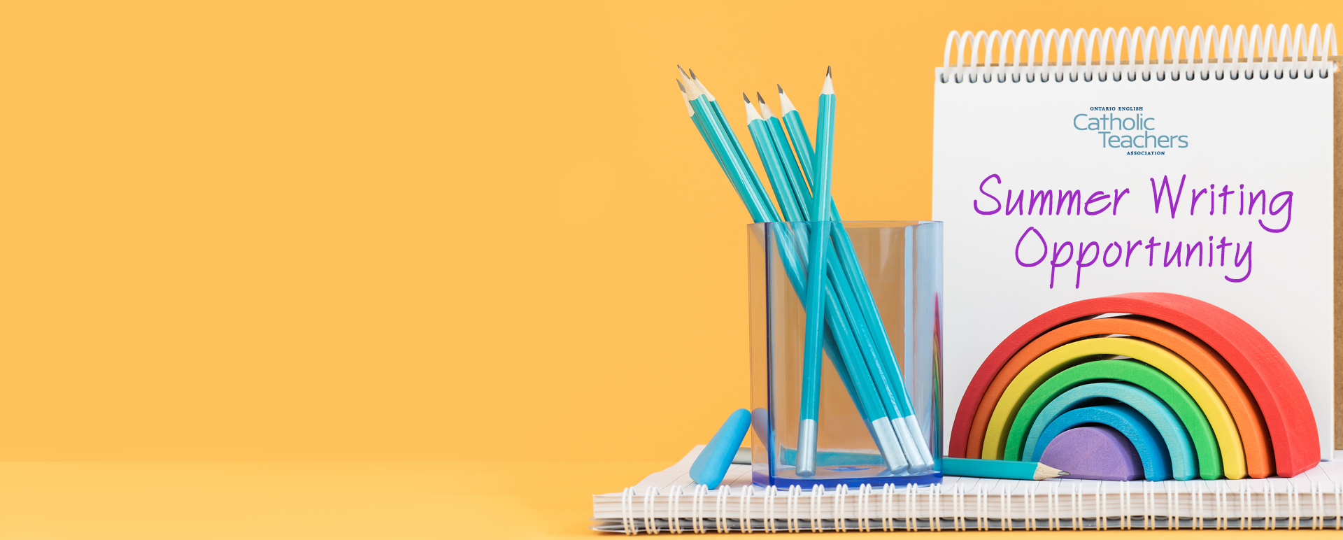 Interested in helping to write new curriculum on 2SLGBTQIA+ inclusion in the elementary classroom?